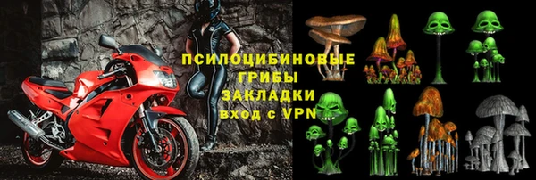 дмт Абаза