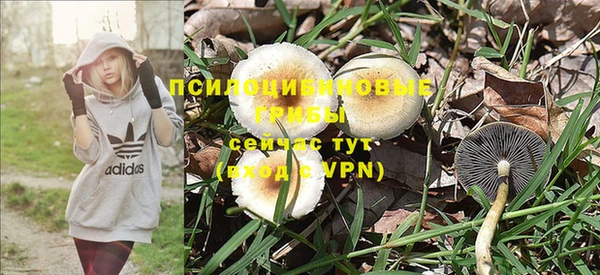дмт Абаза