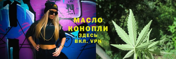 дмт Абаза