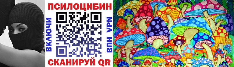 как найти   Барнаул  Галлюциногенные грибы Psilocybine cubensis 